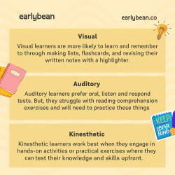 Learning style