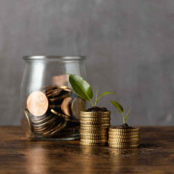 Wealth Creation